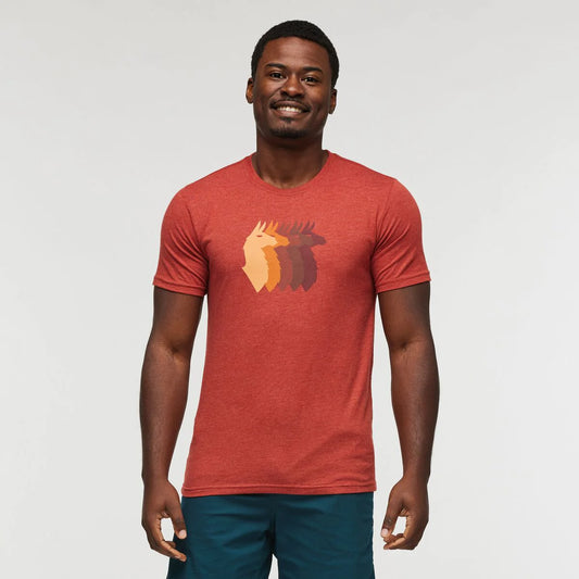 Cotopaxi Men's Llama Sequence T-Shirt Magma