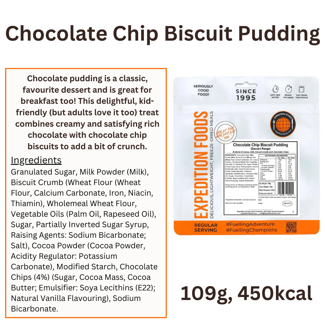 chocolate chip biscuit pudding