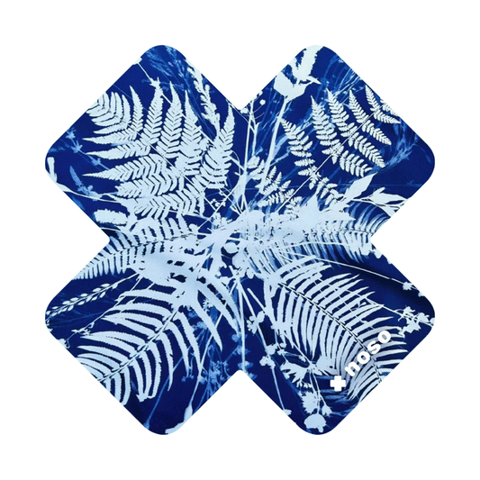 NoSo Polypodiophy X By Kellie Swanson